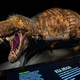 Illustration for article titled What Did T. Rex Look Like? A New Exhibit Has the 'Ultimate Predator' in Feathers